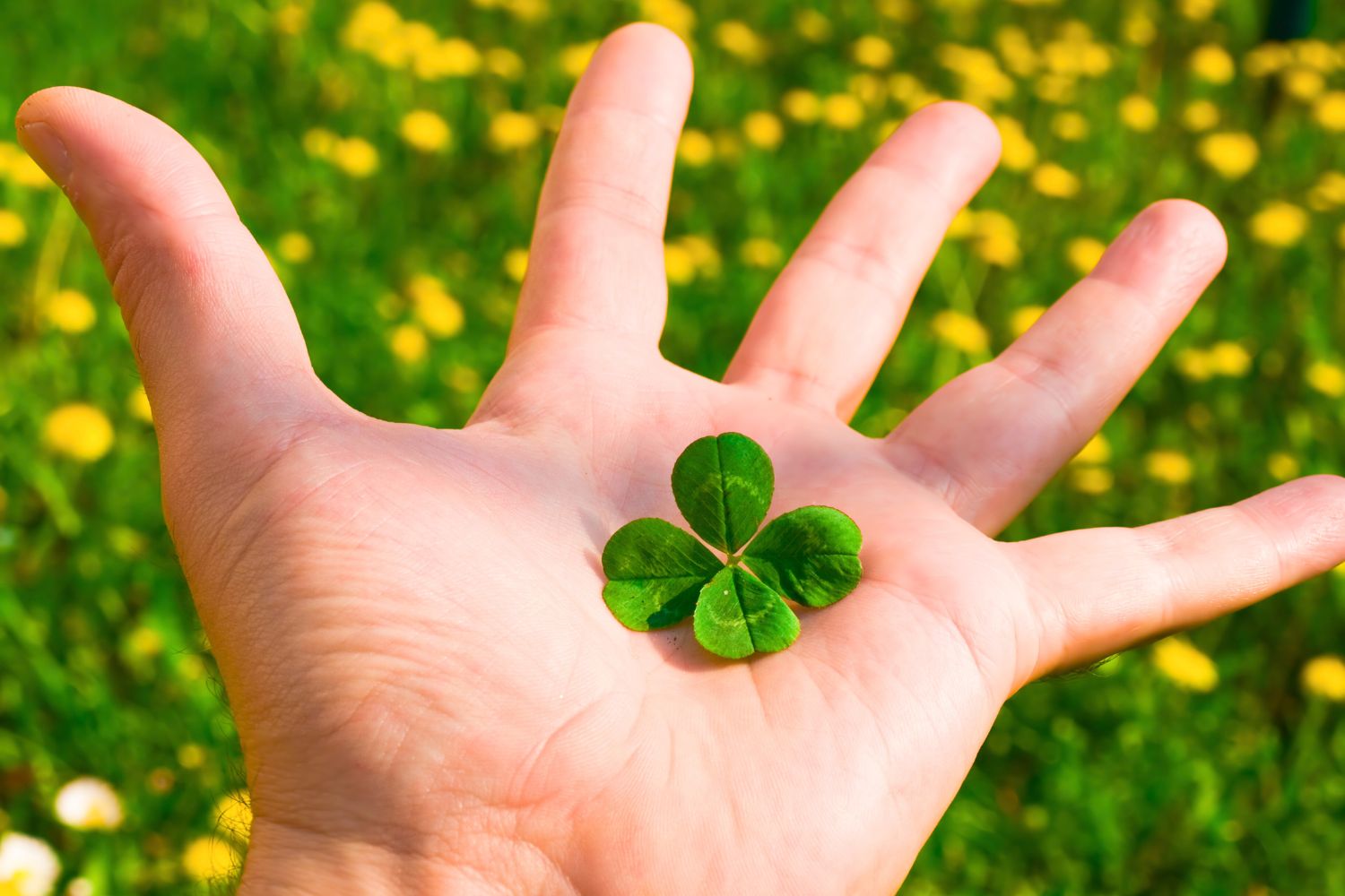 Rituels de Chance et Prospérité